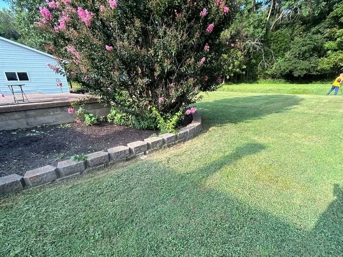 Trimmed lawn edge with blooming crape myrtle
